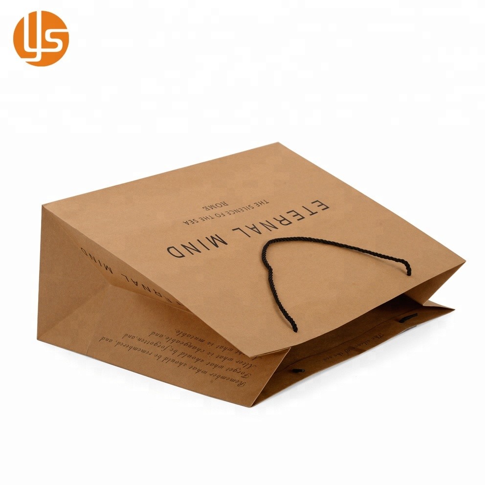 Printed Paper Shopping Craft Gift Custom Brown Kraft Paper Bag
