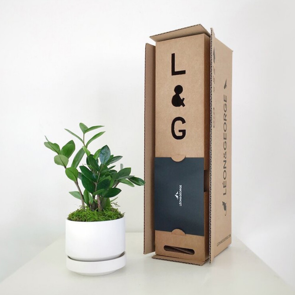 Упаковочные коробки для доставки живых растений из гофрированного картона на заказ