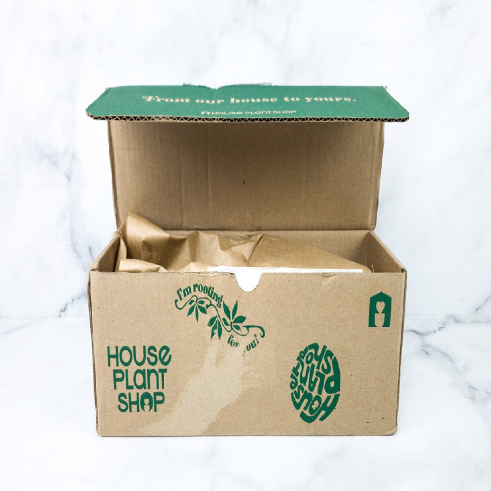 Boîtes d'emballage d'expédition de plantes vivantes en pot ondulées personnalisées