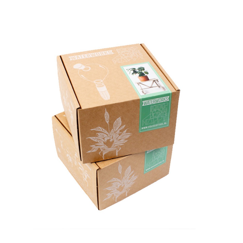 Custom corrugated potted live plant shipping packaging boxes