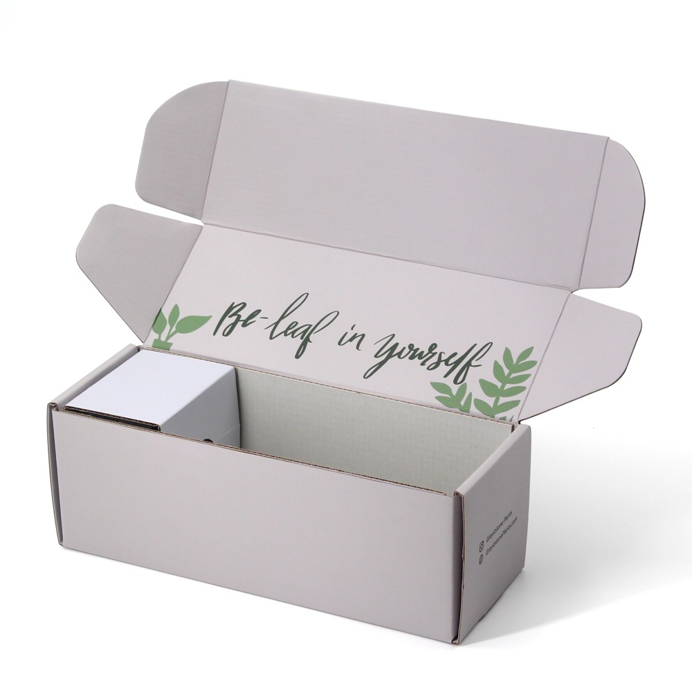 Potted live plant shipping box