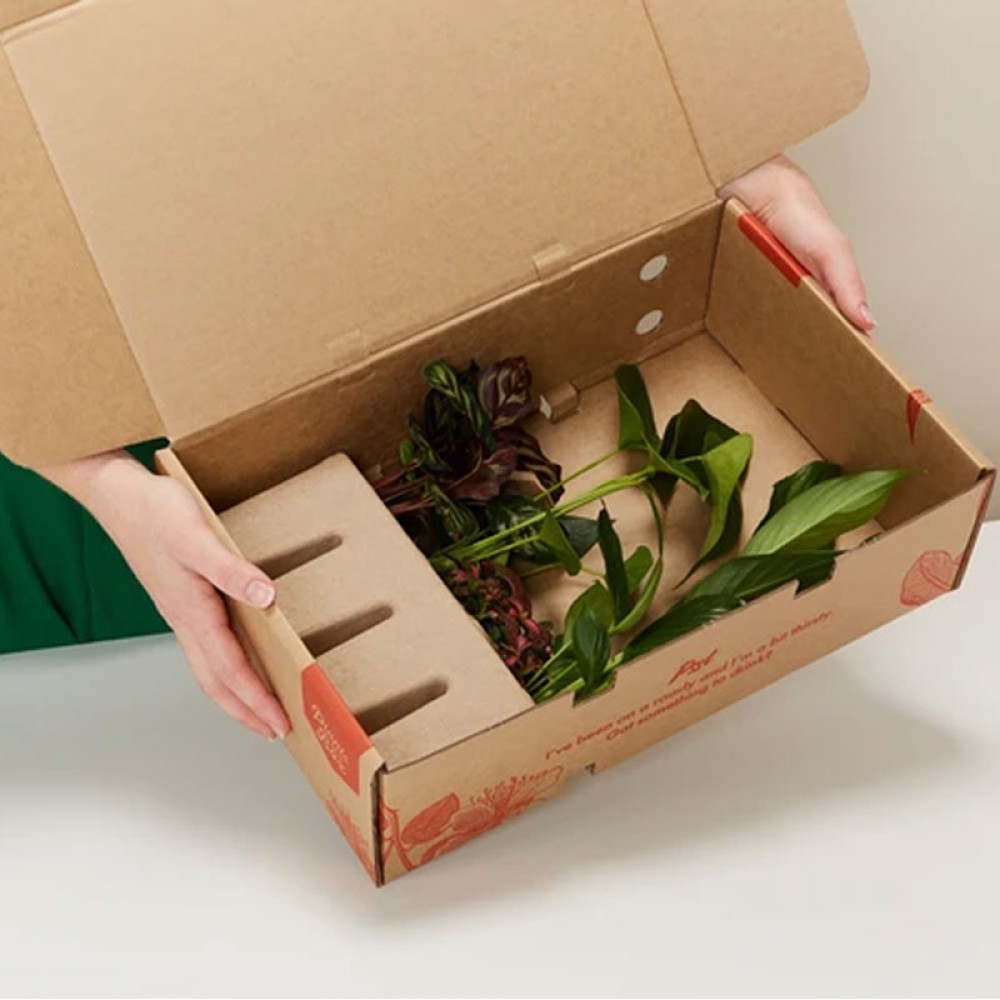 Shipping Box For Plant Packaging Box