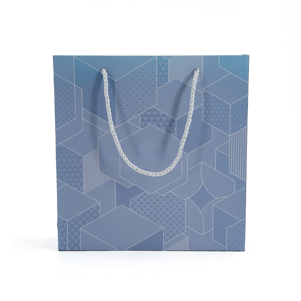 Sacs en papier de vêtements personnalisés pour robes