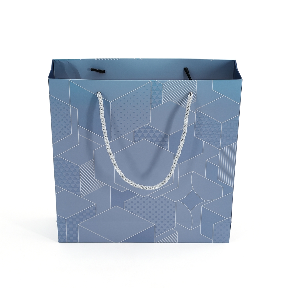 Sacs en papier de vêtements personnalisés pour robes