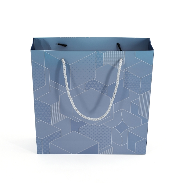 Personalized clothing paper bags for dresses