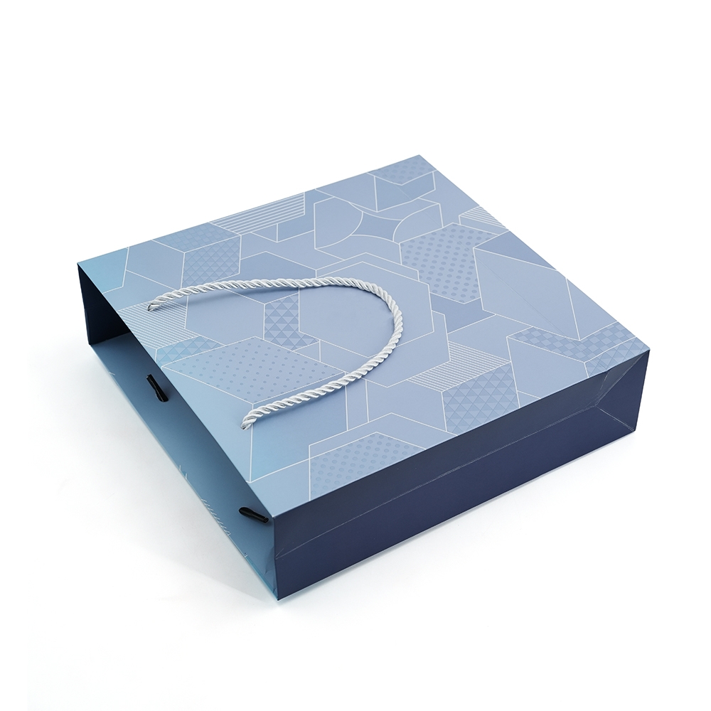 Sacs en papier de vêtements personnalisés pour robes