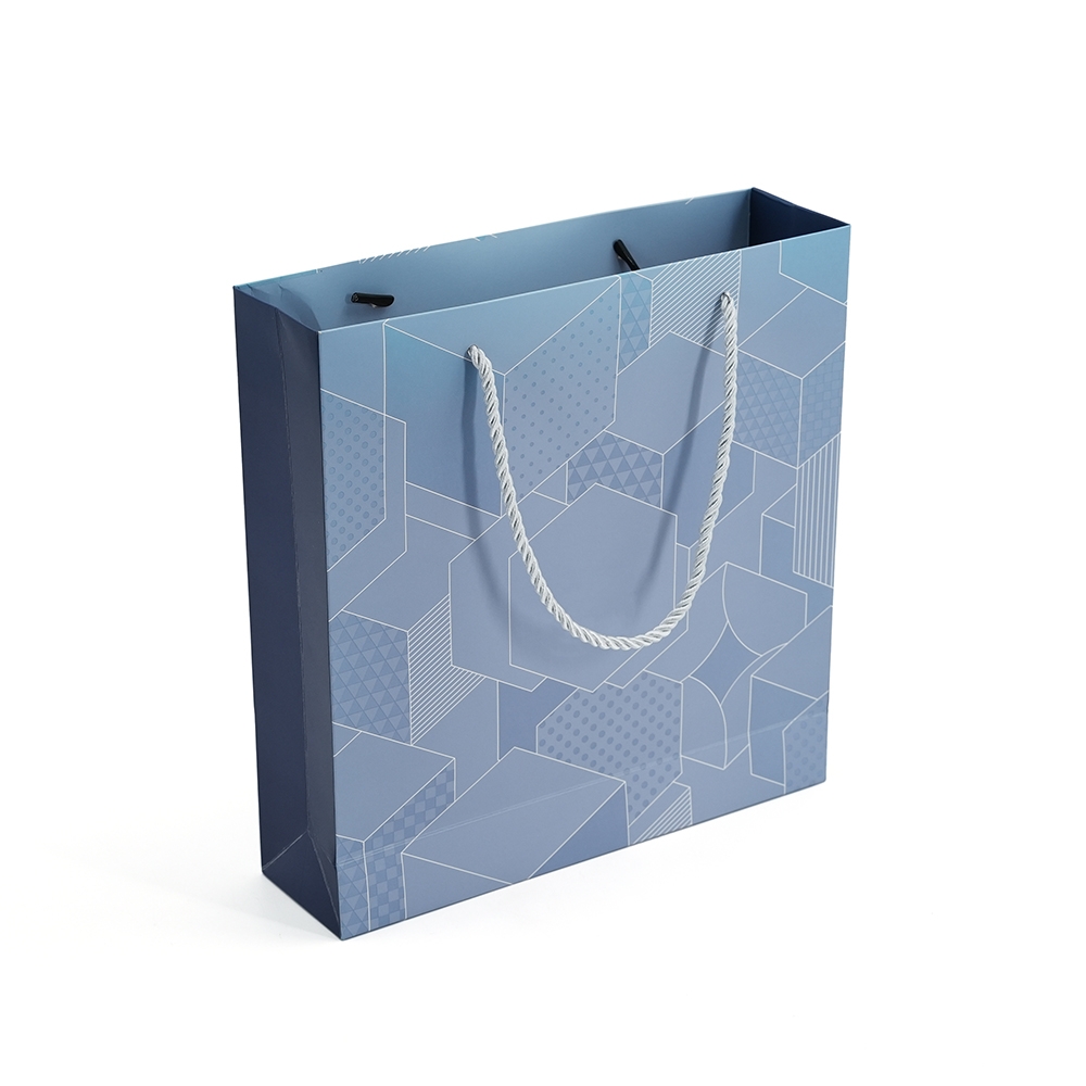 Sacs en papier de vêtements personnalisés pour robes